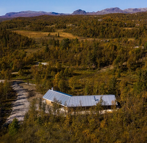 Planna Sinus 18 i ZinkMagnesium er vakkert mot høstfargene.
